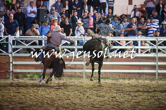 CoomaRodeo2016_3187