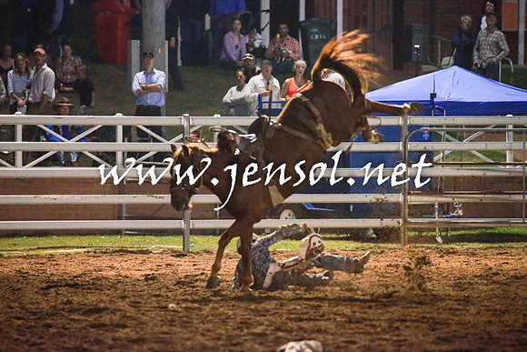 CoomaRodeo2016_3287