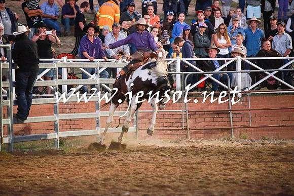 CoomaRodeo2016_3079