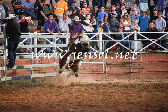 CoomaRodeo2016_3064