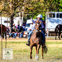 BOTB2019_4653