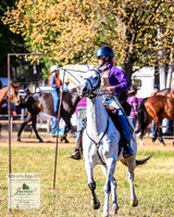 BOTB2019_4578