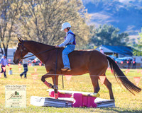 BOTB2019_4258