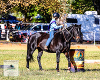 BOTB2019_4540
