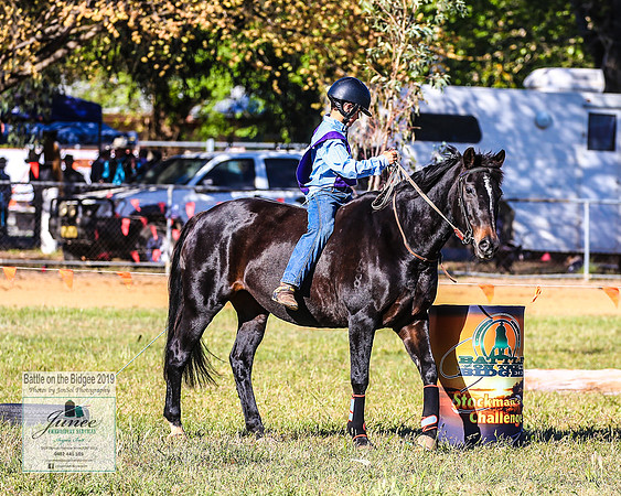 BOTB2019_4540