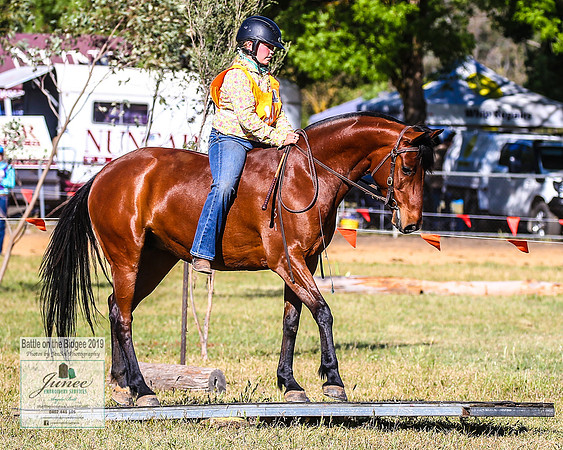 BOTB2019_4814