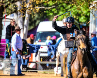 BOTB2019_4677