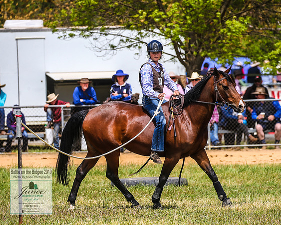 BOTB2019_6210