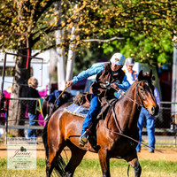 BOTB2019_4659