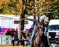 BOTB2019_4586