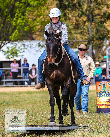 BOTB2019_6017