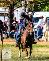 BOTB2019_4642