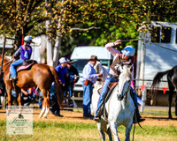 BOTB2019_4613