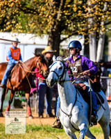 BOTB2019_4565