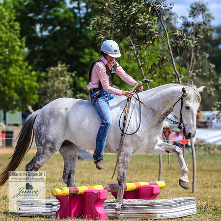 BOTB2019_6013
