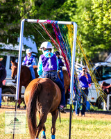 BOTB2019_4230