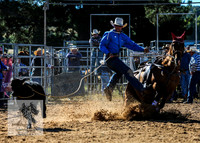 BraidwoodRodeo2015_0156
