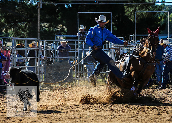 BraidwoodRodeo2015_0156