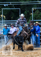 BraidwoodRodeo2015_3232
