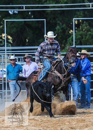 BraidwoodRodeo2015_3232