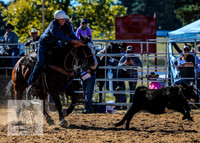 BraidwoodRodeo2015_0133