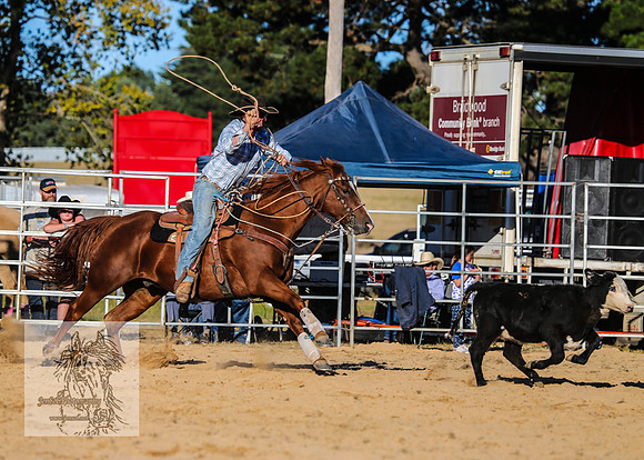 BraidwoodRodeo2015_4566