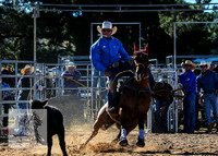 BraidwoodRodeo2015_0146