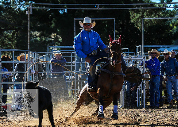 BraidwoodRodeo2015_0146