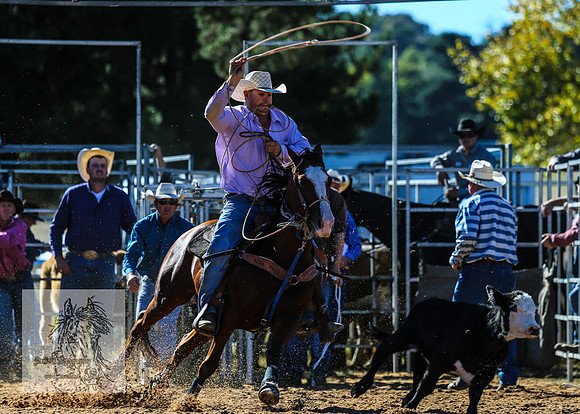 BraidwoodRodeo2015_0170