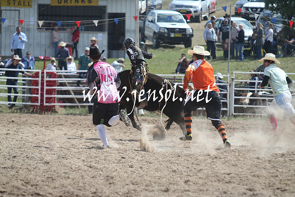 BungendoreRodeo2013_0475