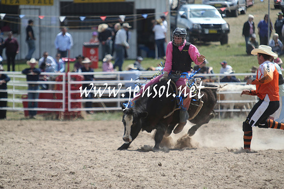 BungendoreRodeo2013_0624