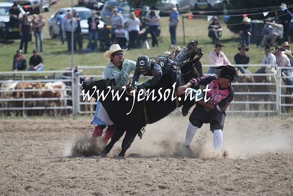 BungendoreRodeo2013_0454