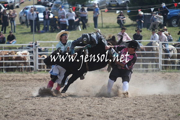 BungendoreRodeo2013_0455
