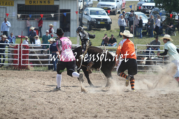 BungendoreRodeo2013_0474