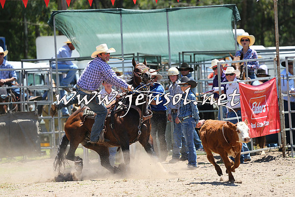 PictonRodeo2015_0001