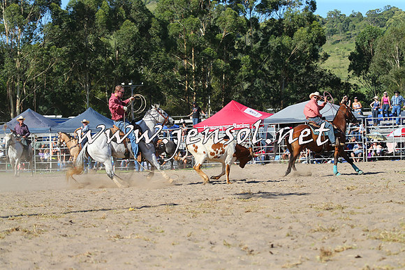 PictonRodeo2015_1770