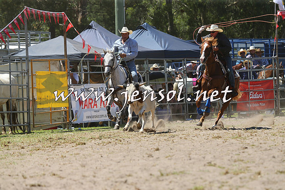 PictonRodeo2015_1162
