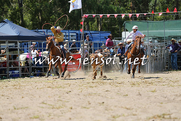 PictonRodeo2015_1256
