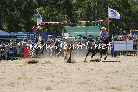 PictonRodeo2015_0859