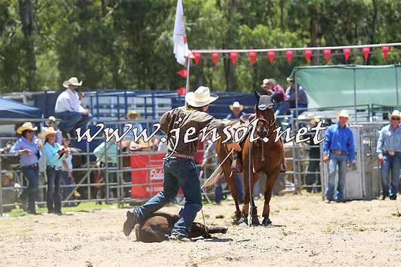 PictonRodeo2015_0493