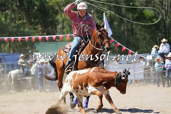 PictonRodeo2015_1238