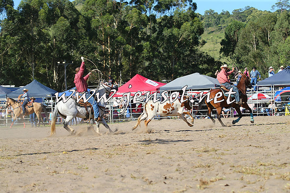 PictonRodeo2015_1771