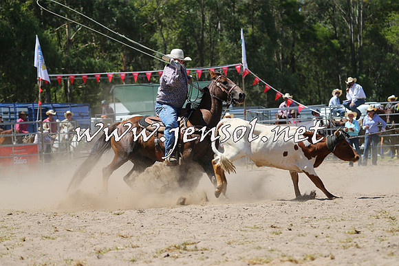 PictonRodeo2015_1196