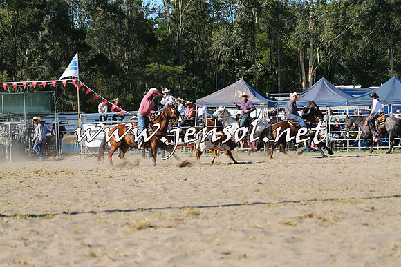 PictonRodeo2015_1750
