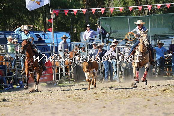 PictonRodeo2015_1772