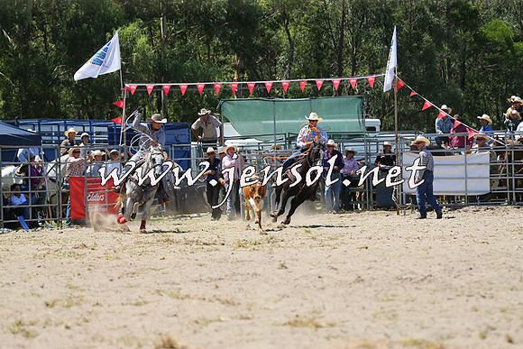 PictonRodeo2015_0907