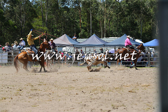 PictonRodeo2015_1222