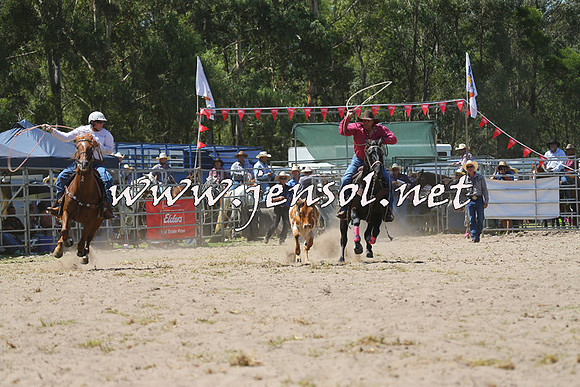 PictonRodeo2015_1146