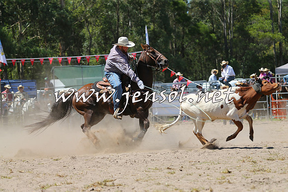 PictonRodeo2015_1187