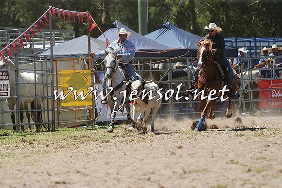 PictonRodeo2015_1157